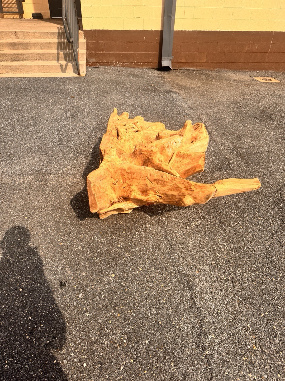 Teak Root Base