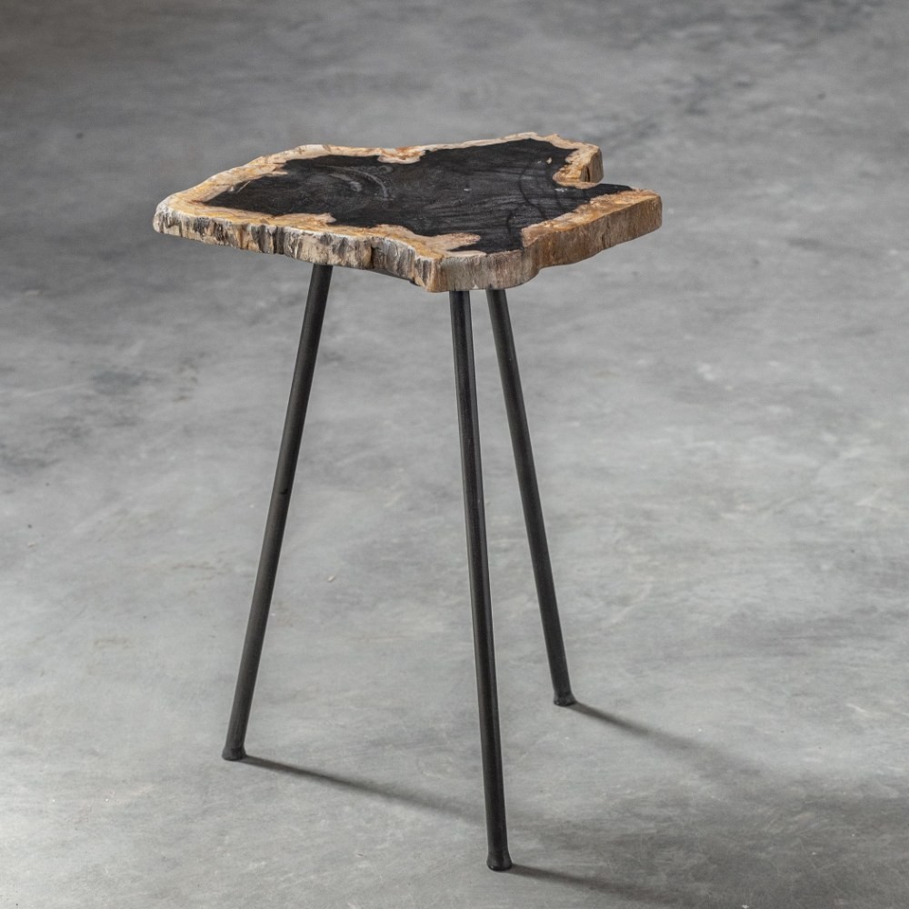 20 inch Free Form Accent Table with Iron Legs – Nature Inspired Side Table –