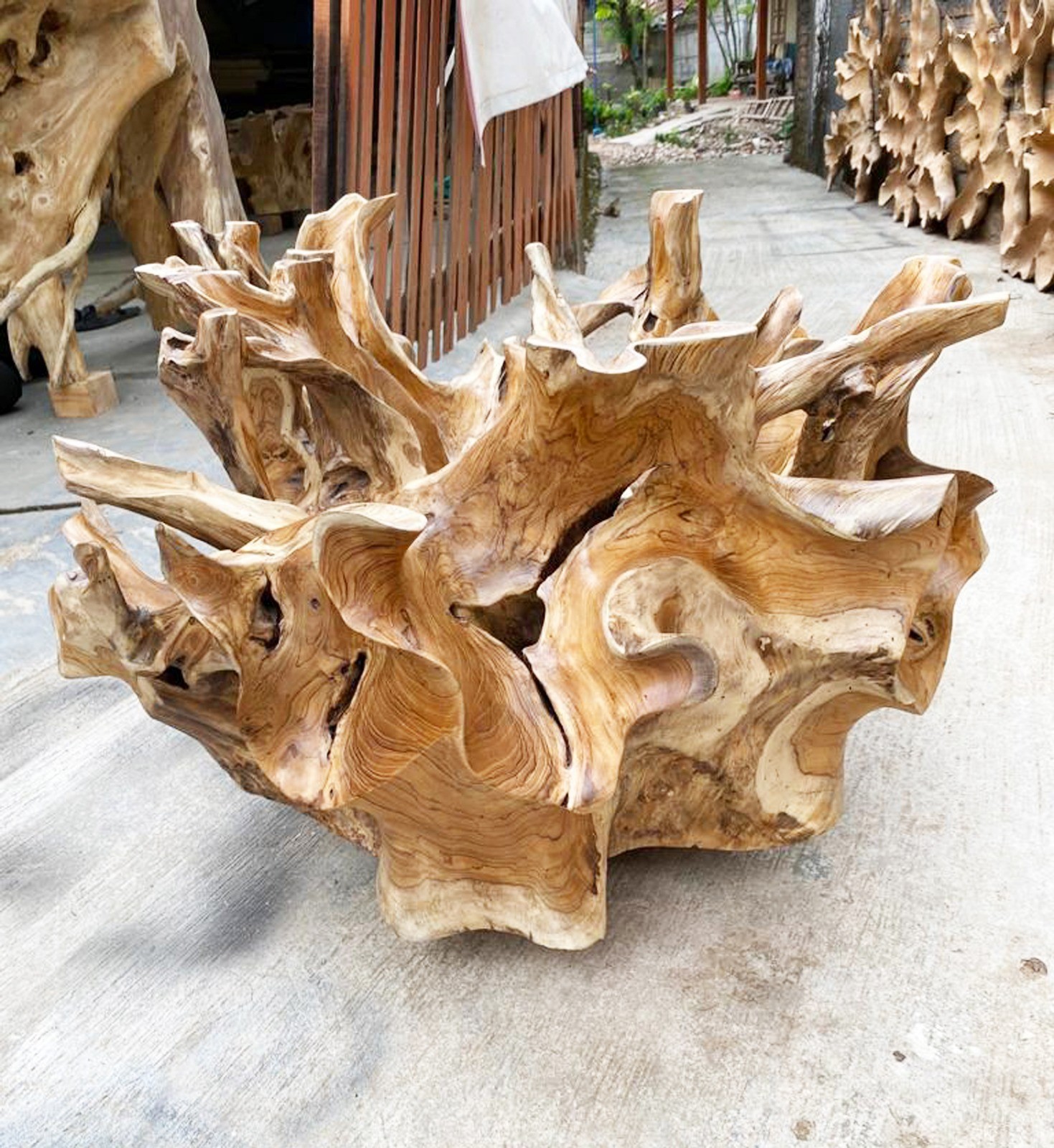 35” Solid Teak Root Coffee Table – Natural & One-of-a-Kind