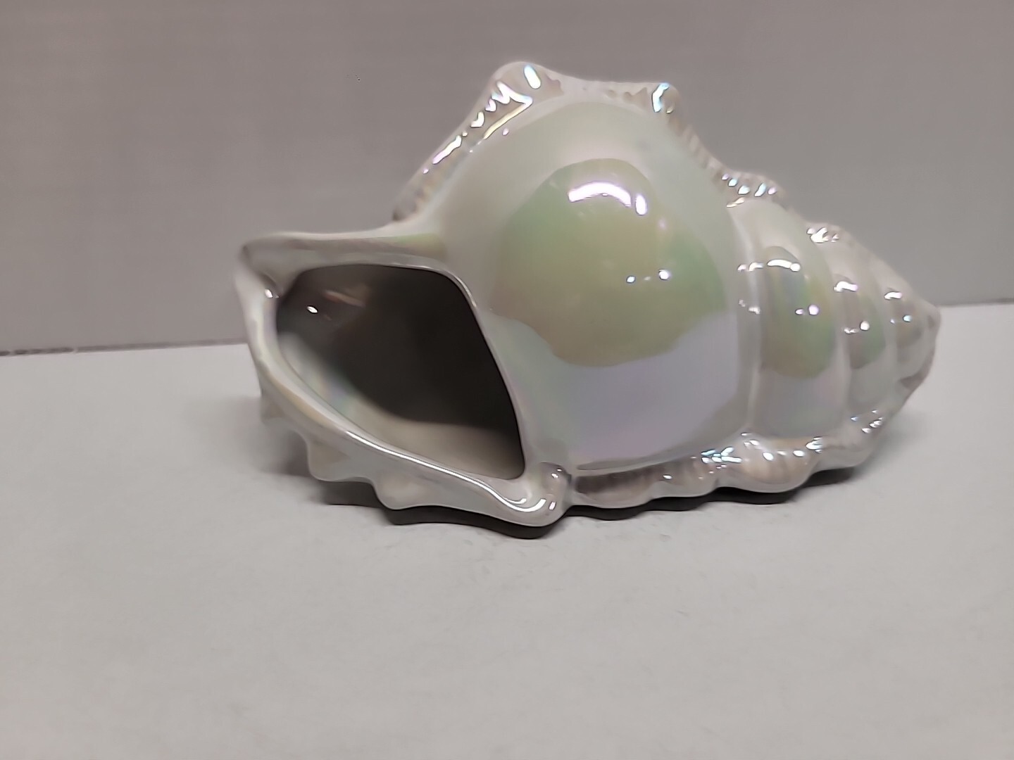 Pier 1 Iridescent Sea Shell Table Accent 3″ x 6″ Glossy Finish Seashore