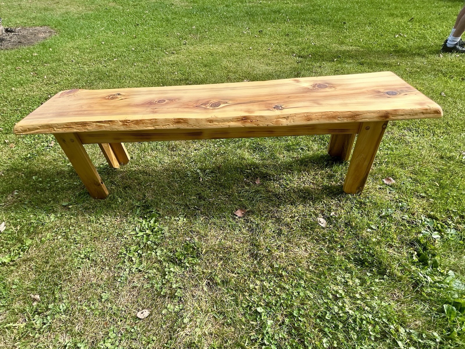 Thick Live Edge Coffee Table Bench Natural Light Finish Northern White Cedar CTA