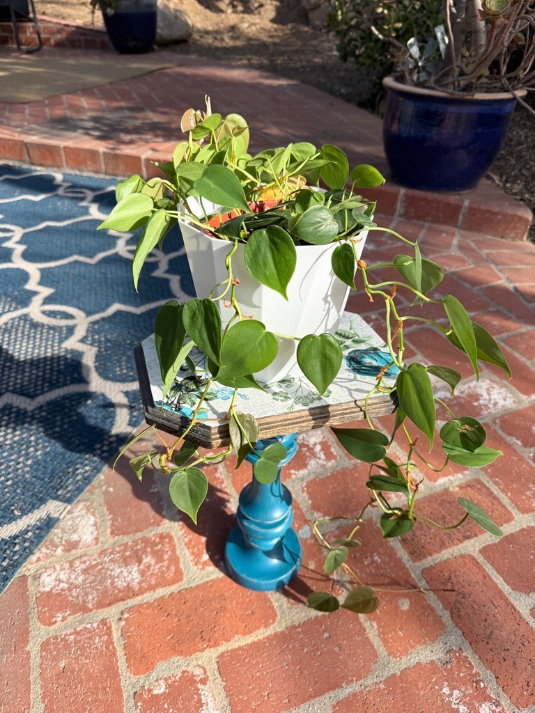 Vibrant Boho Upcycled Unique Plant Stand / Side Table – Electric Blue & Floral