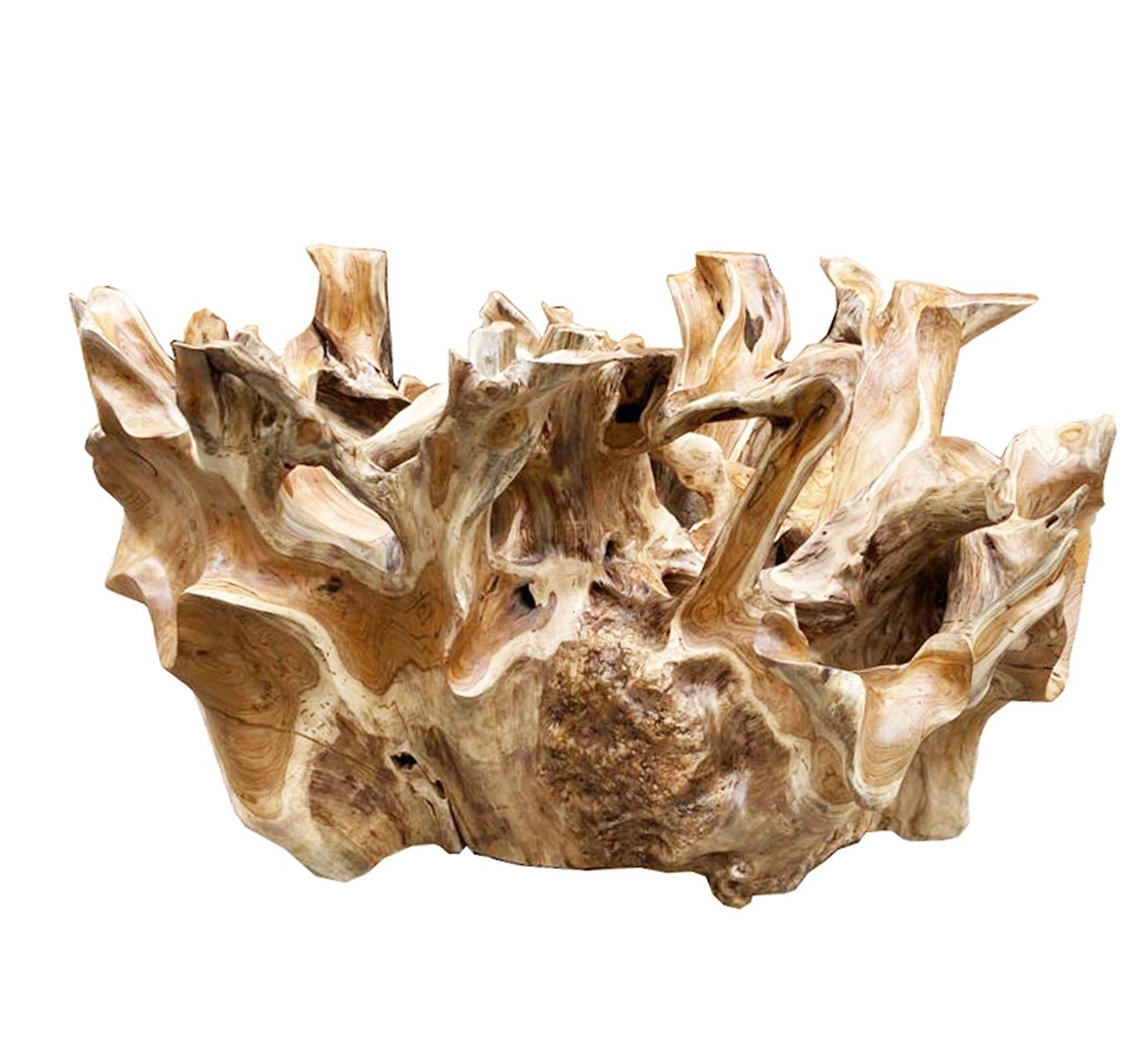 35” Solid Teak Root Coffee Table – Natural & One-of-a-Kind