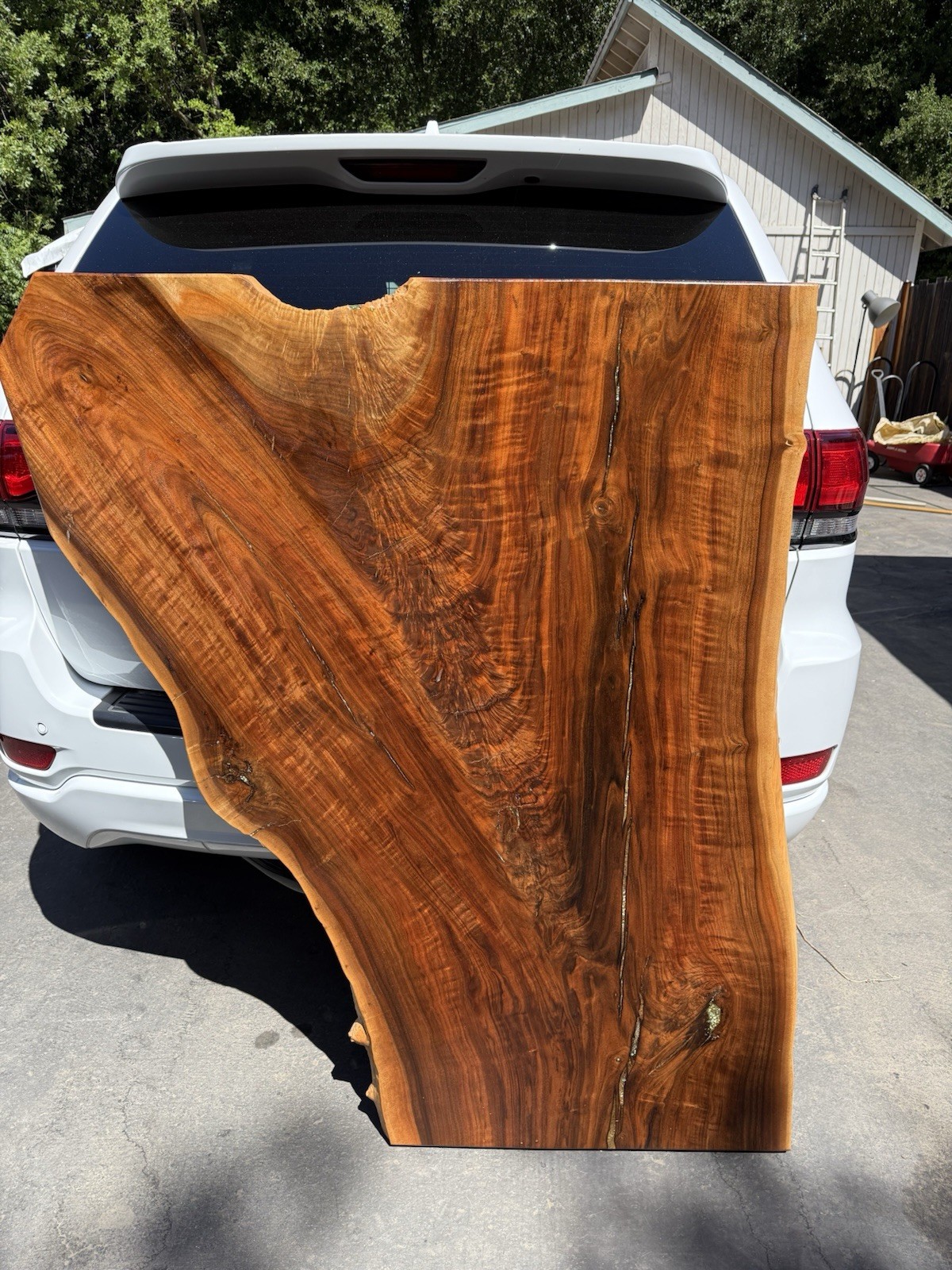Custom Black Walnut Live Edge Table Top