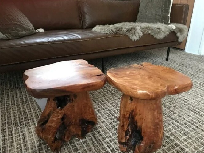 Cedar Root Natural Stool Mushroom Reclaimed Hard Side Table Stand Foot Wood End