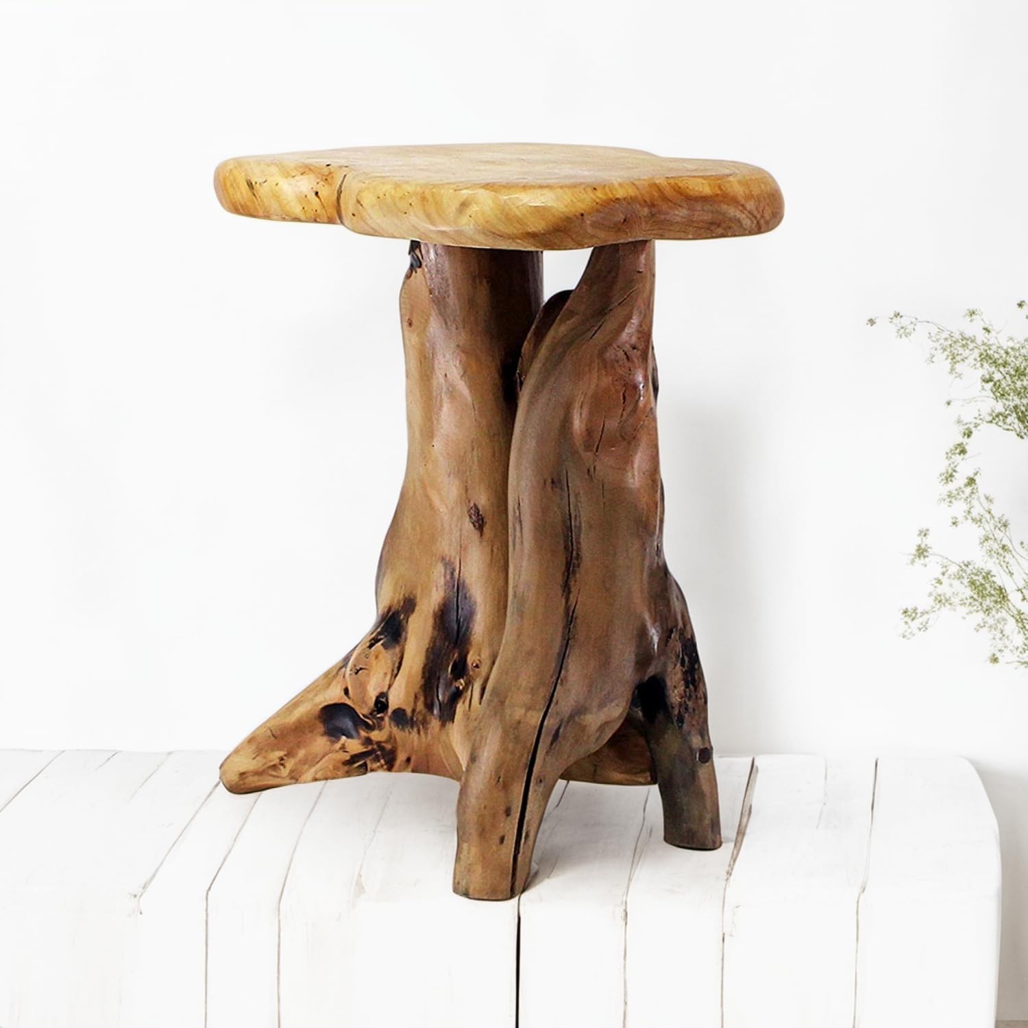 Rustic Natural Tree Stump Stool – 19” Accent Table & Plant Stand