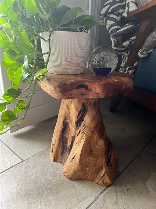 New 14″ Cedar Stump Stool | Live Edge End Table, Plant Stand, Nightstand