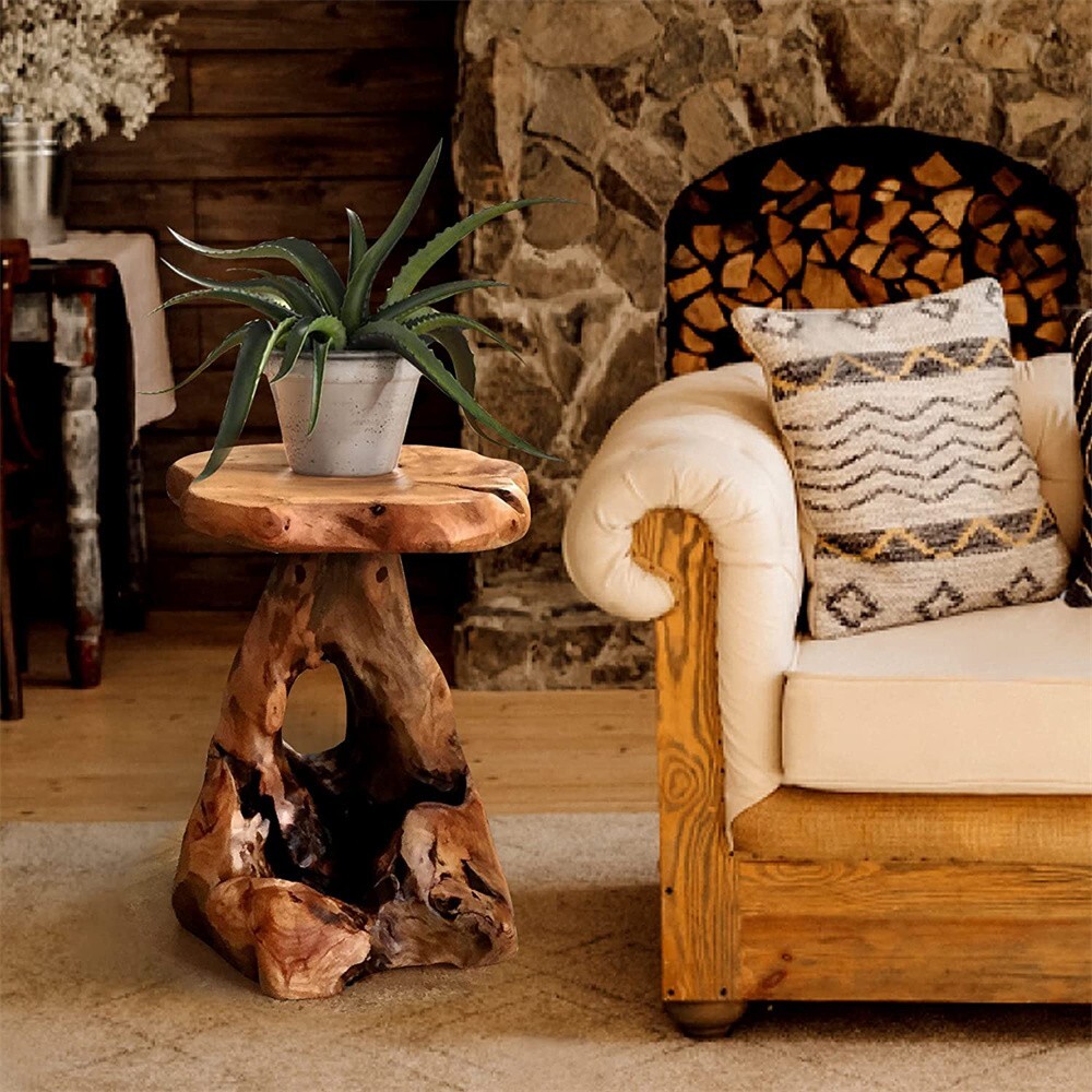 Natural Irregular Shape Tree Stump End Table Plant Stand, 14″x13″x18″H
