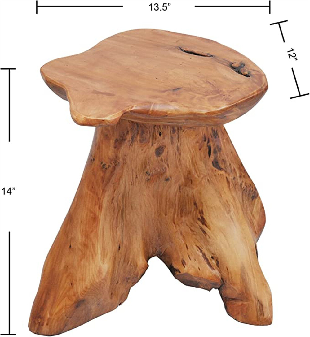 Natural Irregular Shape Tree Stump End Table Plant Stand, 14″x13″x18″H