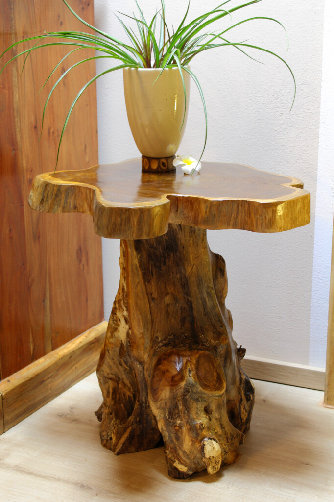 Kinaree ALOR SETAR Teak Live Edge Coffee Table Solid Wood Root Foot New
