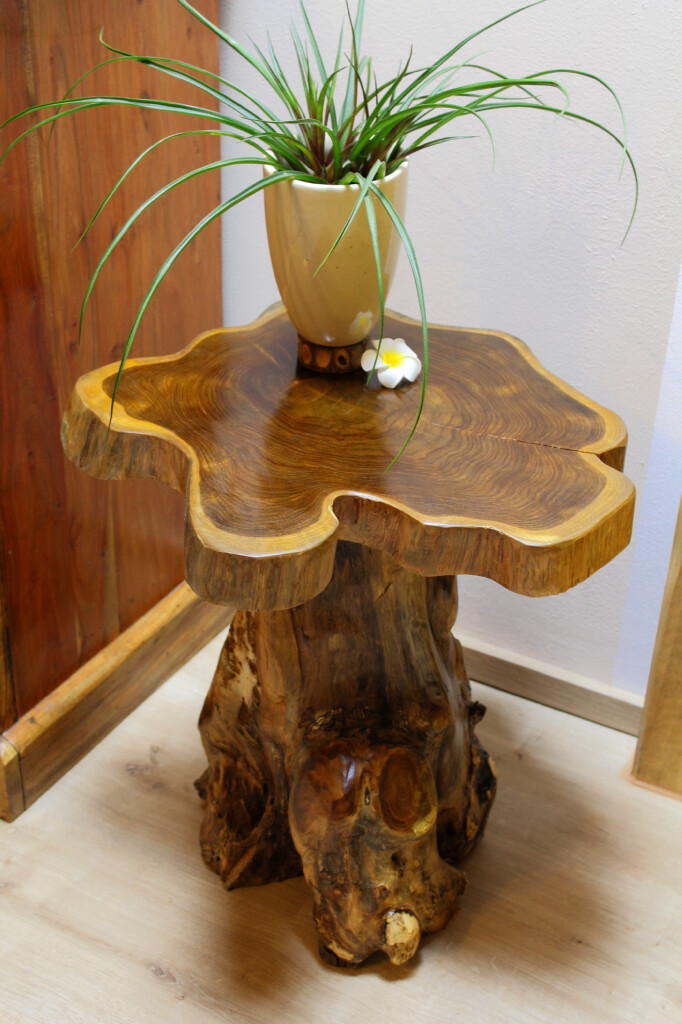 Kinaree ALOR SETAR Teak Live Edge Coffee Table Solid Wood Root Foot New