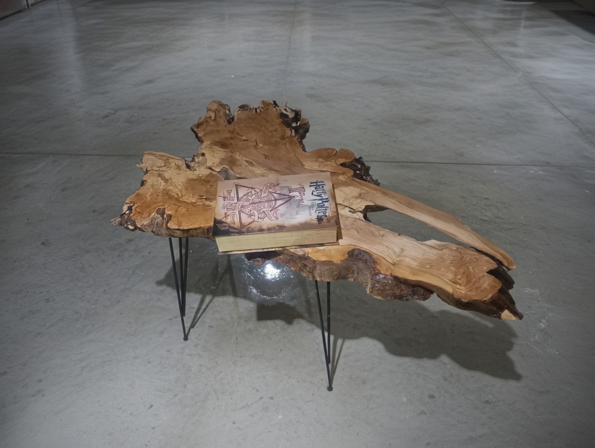 Live Edge Center Table Rustic Coffee Table Natural Olive Root Solid Wood