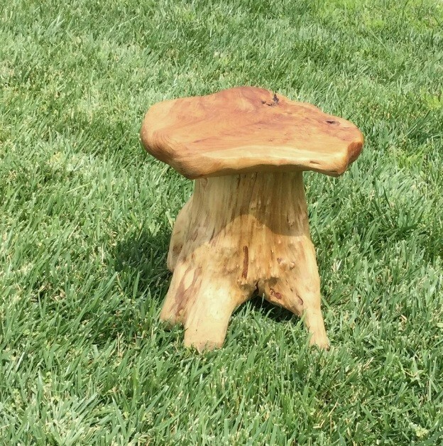 Cedar Root Natural Stool Mushroom Reclaimed Hard Side Table Stand Foot Wood End