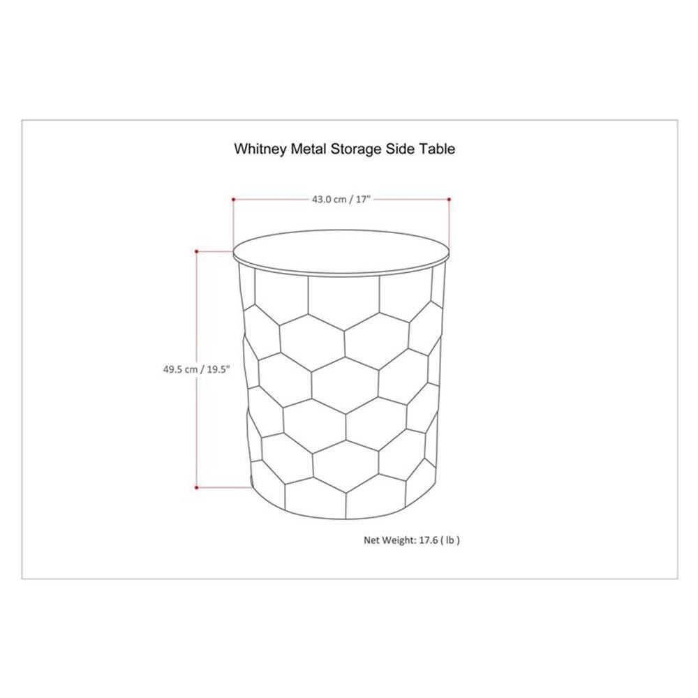 Simpli Home Whitney Industrial 17 ” Metal Storage Accent Side Table in Antiqu…