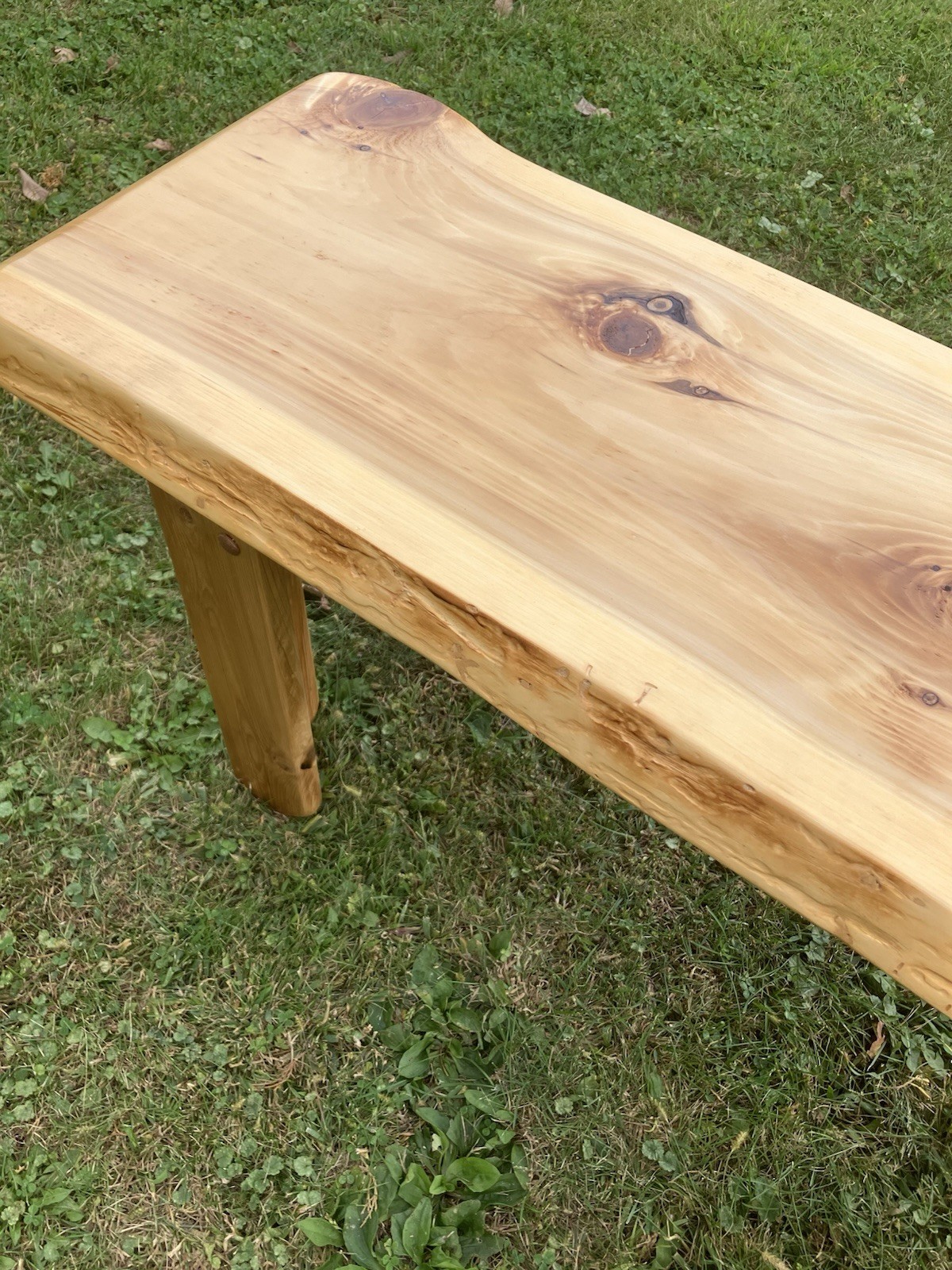Thick Live Edge Coffee Table Bench Natural Light Finish Northern White Cedar CTA