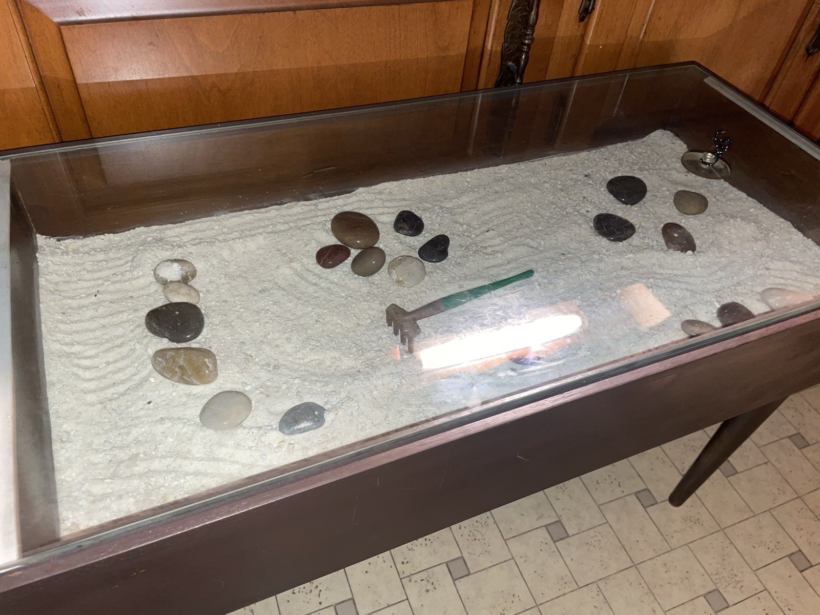 Shadow Box End Table Zen Garden Terrarium Reptile Enclosure Plant Garden