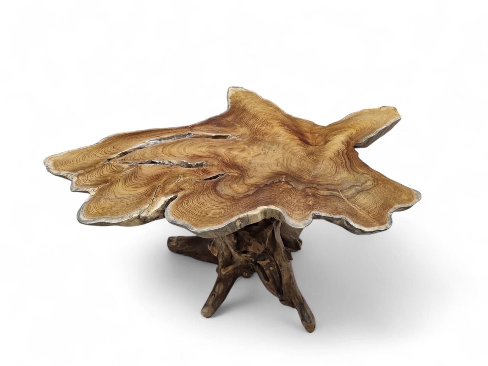 Kinaree ALOR SETAR Teak Live Edge Coffee Table Solid Wood Root Foot New