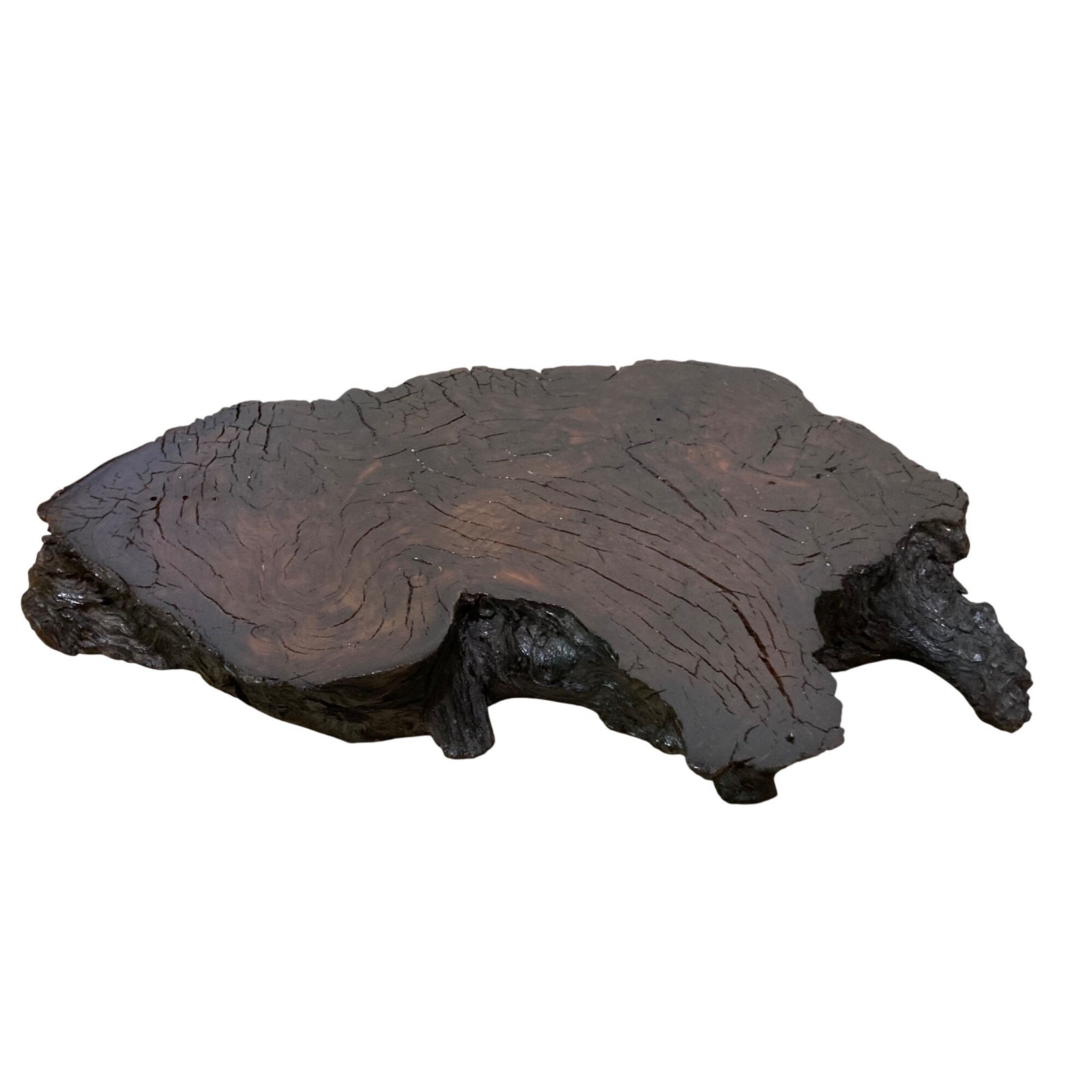 Natural Live Edge Wood Slab Table Top Decor Riser Shelf