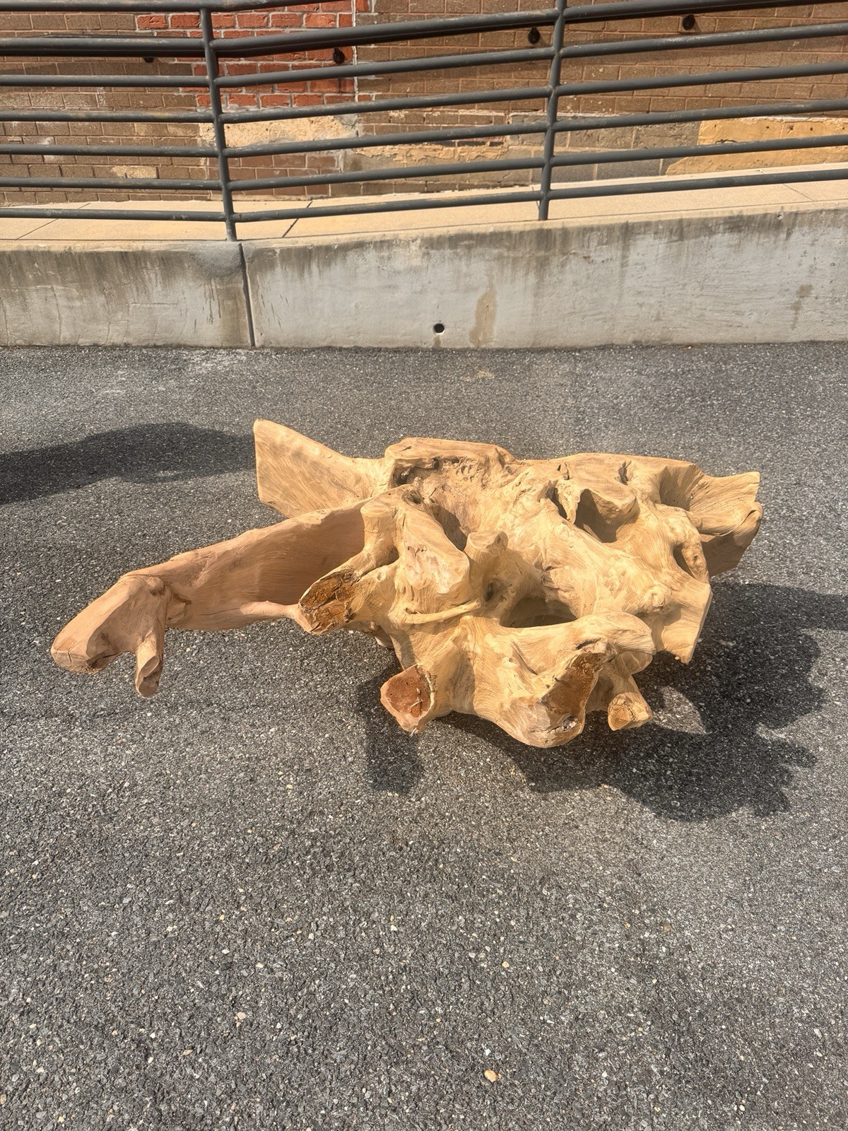 Teak Root Base