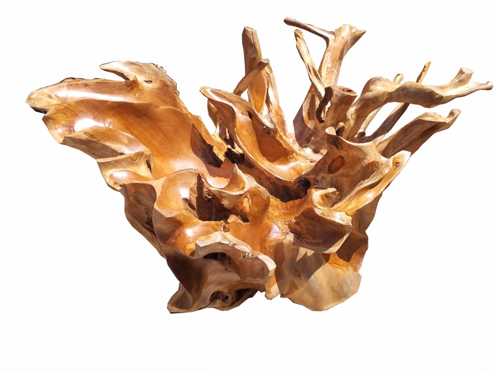 39” Teak Root Coffee Table Earthy Luxury – Solid Wood Handmade