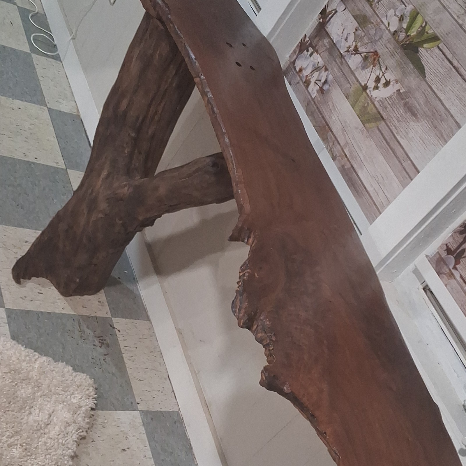 Walnut Live Edge Dark Wood End Side Table Free Form Branch Legs Glossy Lodge