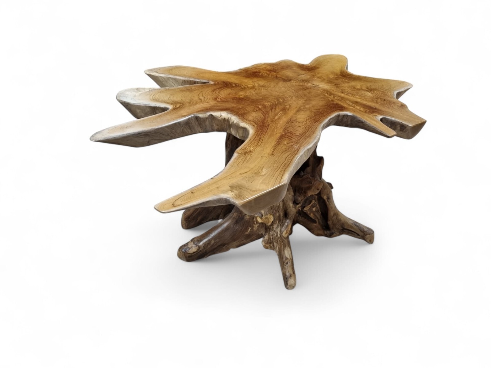 Kinaree ALOR SETAR Teak Live Edge Coffee Table Solid Wood Root Foot New