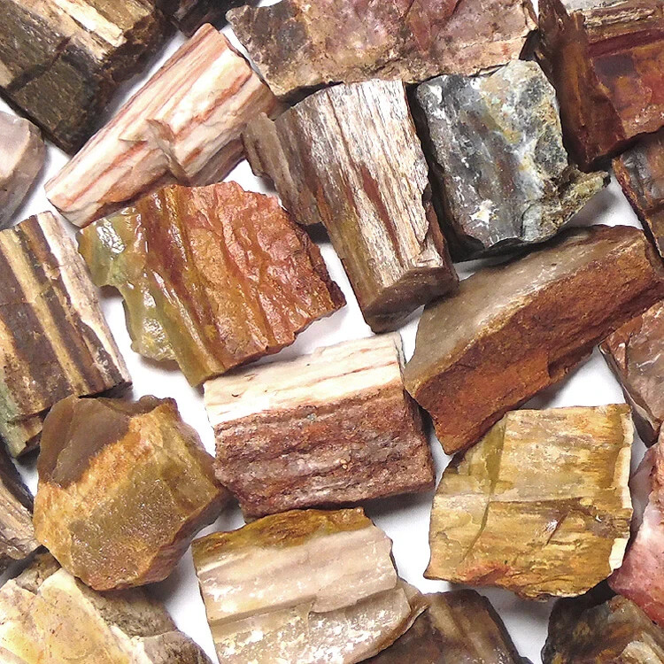 Handcrafted Petrified Wood Dining Table for Modern Interiors Any Room Decor