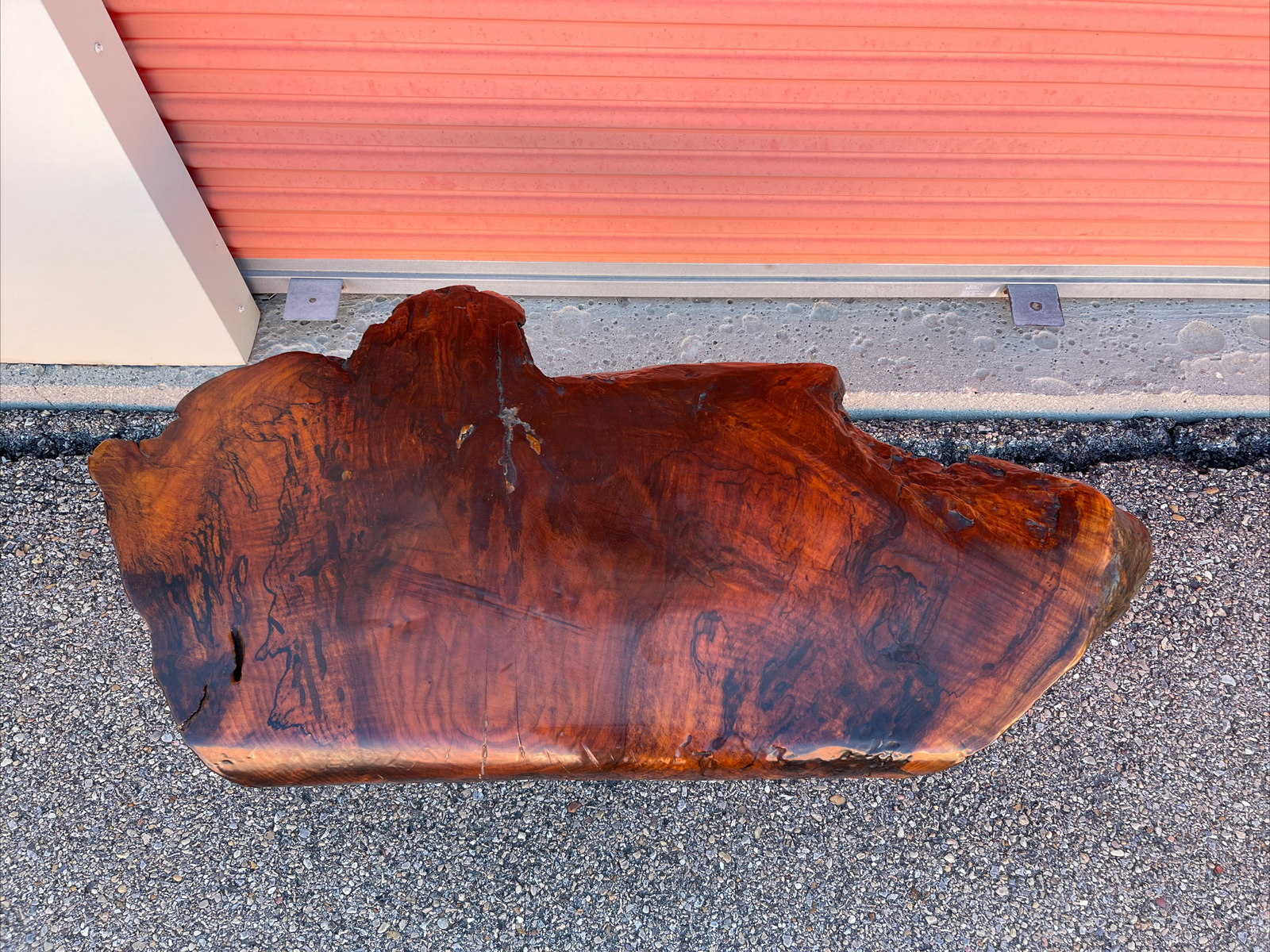 Natural Edge Polyurethane Coffee End Table Cedar Tree Log Stump Burl