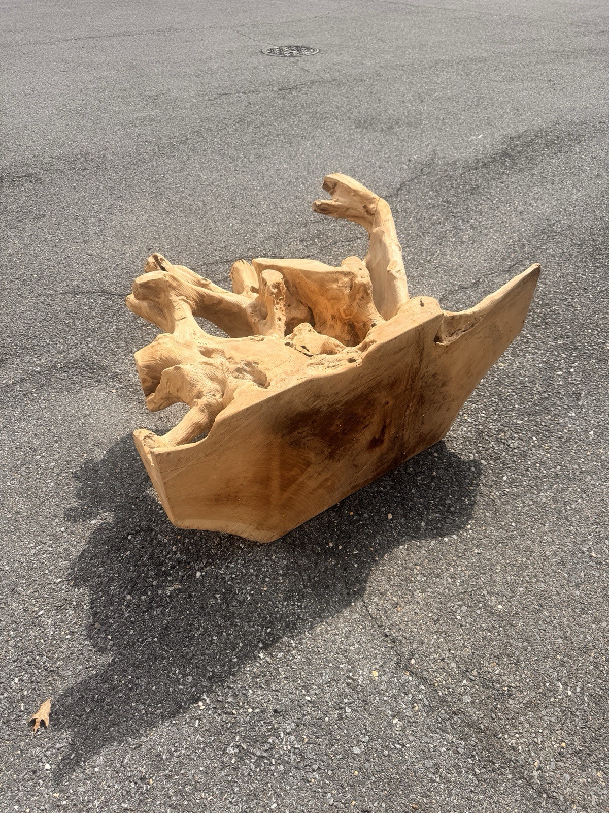 Teak Root Base