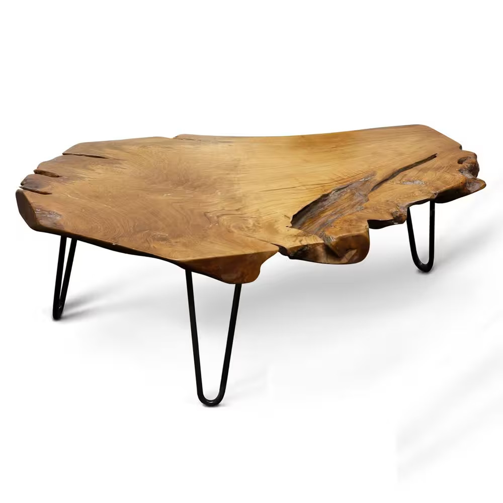 Badang 40 In. Clear Lacquer/Black Medium Specialty Wood Coffee Table with Live E