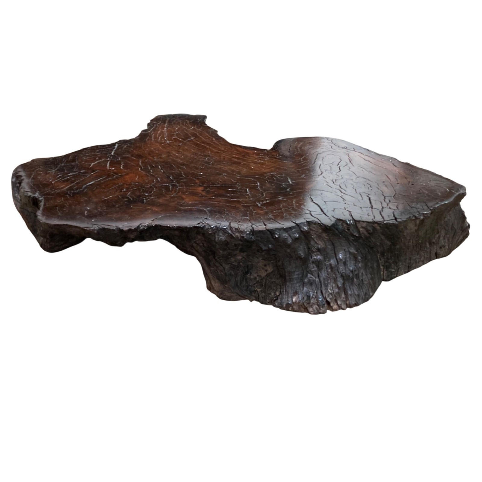 Natural Live Edge Wood Slab Table Top Decor Riser Shelf