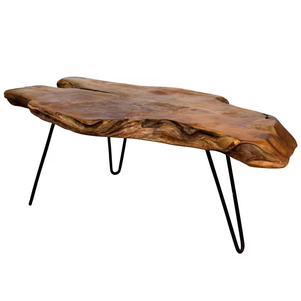 Badang 40 In. Clear Lacquer/Black Medium Specialty Wood Coffee Table with Live E