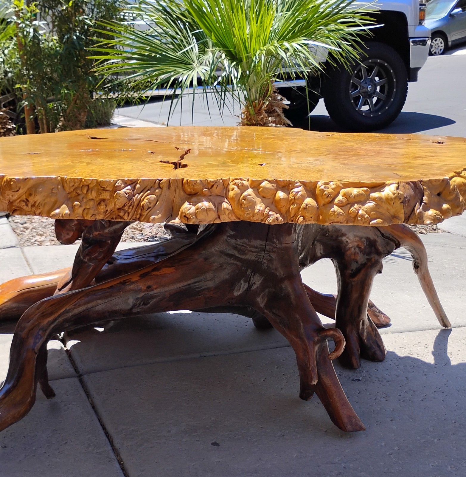 Birdseye Maple Burl Coffee Table Polished Golden Brown w/ Natural Base 3″ Thick