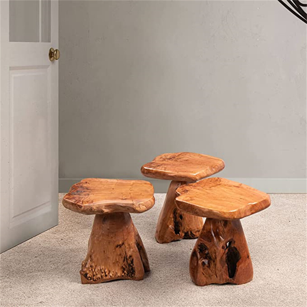 Natural Irregular Shape Tree Stump End Table Plant Stand, 14″x13″x18″H
