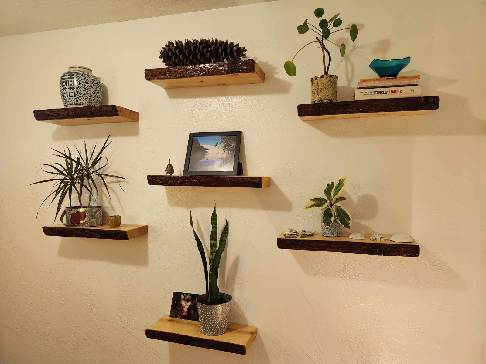 Live Edge Floating Shelf (Set Of 7)