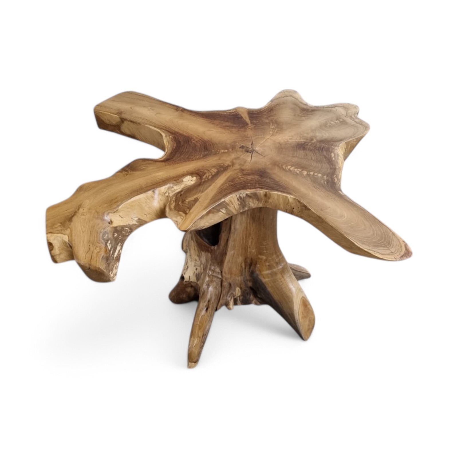 Kinaree ALOR SETAR Teak Live Edge Coffee Table Solid Wood Root Foot New