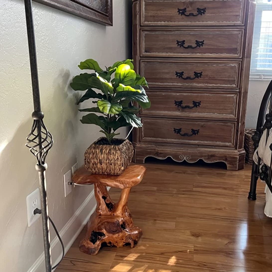 Rustic Cedar Roots Flower Stand Stool, Tree Stump Stool Side Table 19.5″ H