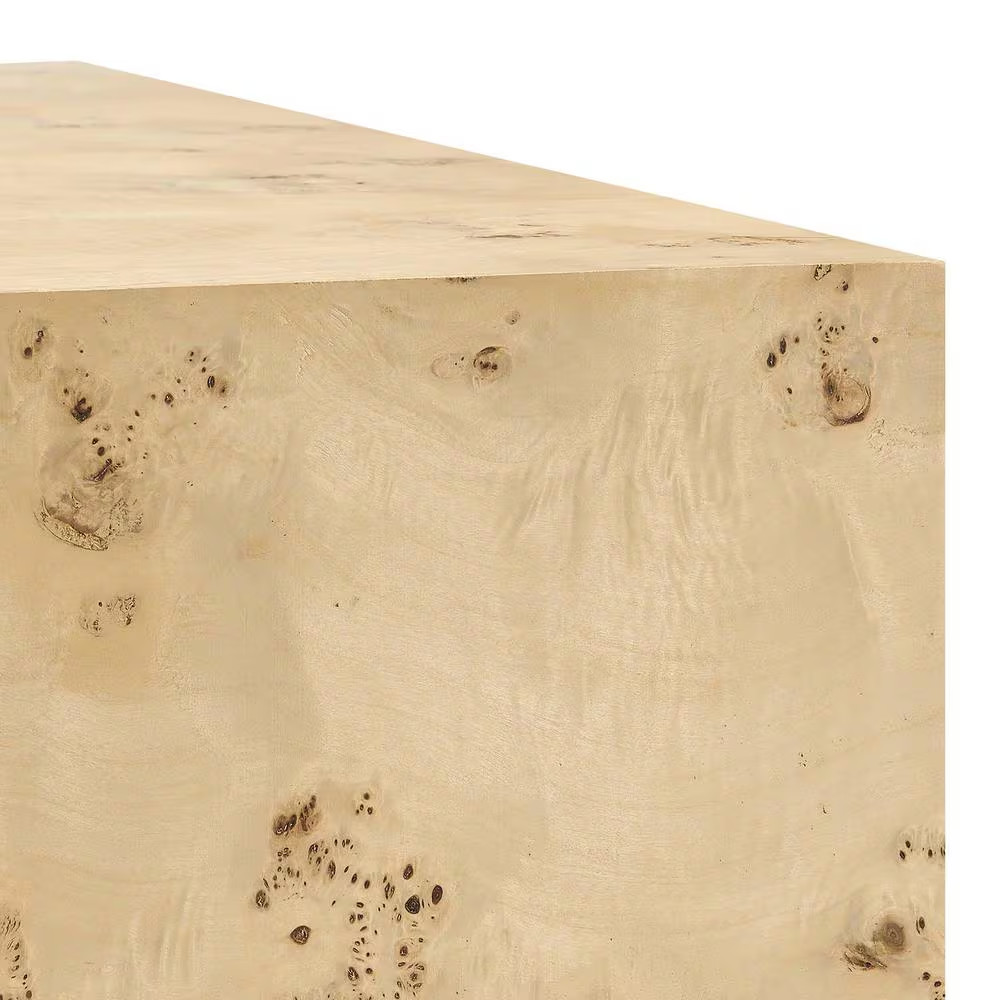 Cosmos 16 In. Square Burl Wood Side Table in Natural Burl