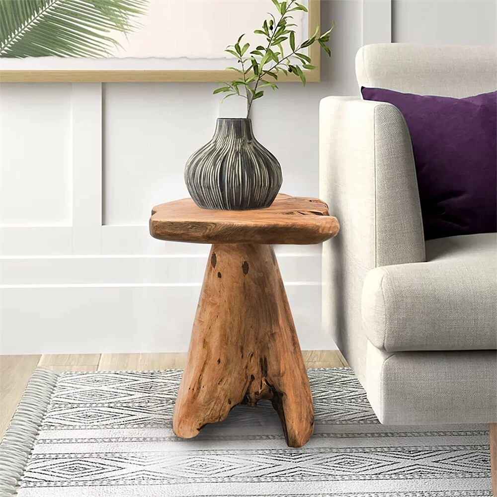 Natural Irregular Shape Tree Stump End Table Plant Stand, 14″x13″x18″H