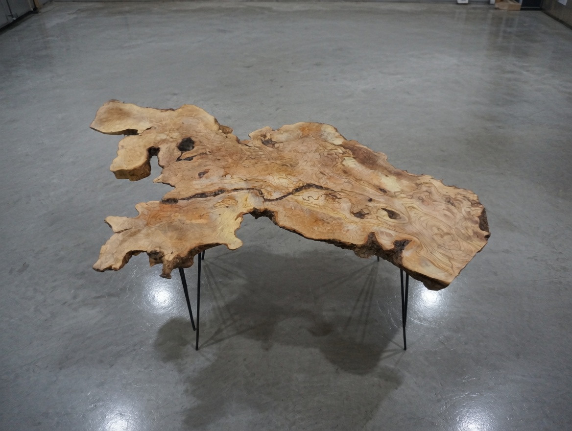 Live Edge Center Table Rustic Coffee Table Natural Olive Root Solid Wood